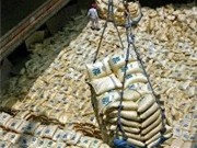 Bóng đá anh, ngoại hạng anh, lịch thi đấu euro 2012, Triều Tiên kêu gọi Hàn Quốc viện trợ lương thực khẩn cấp 